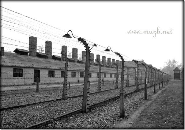 Auschwitz wall